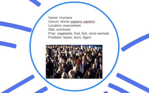 Atlantic Ocean Food Web: With Environmental Change by Matthew Nimtz