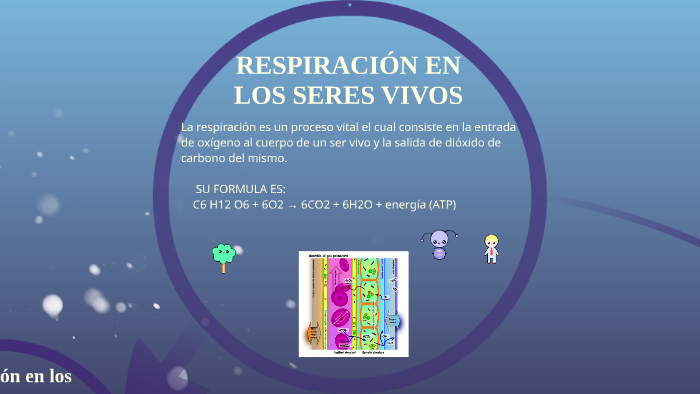 RESPIRACION EN LOS SERES VIVOS by tiffany rojas hernandez