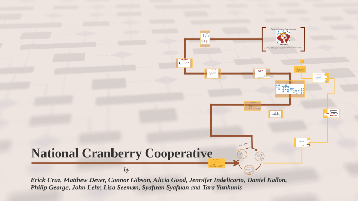 National Cranberry Case Flow Chart