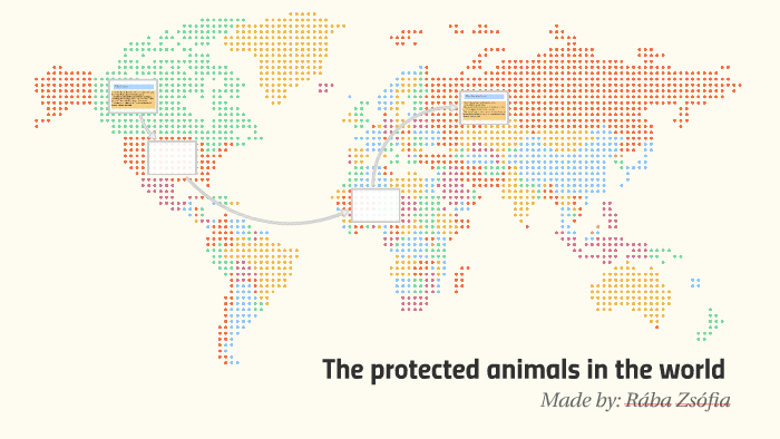 The protected animals in the world by Zsófia Rába