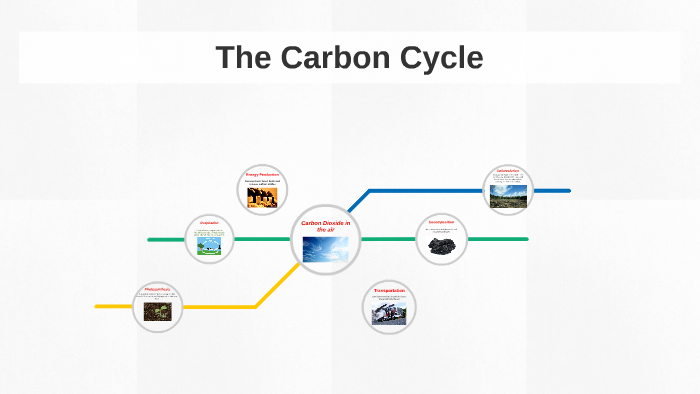 The Carbon Cycle by Jasmyne Pruitt on Prezi
