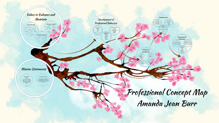 Professional Concept Map by Amanda Burr on Prezi