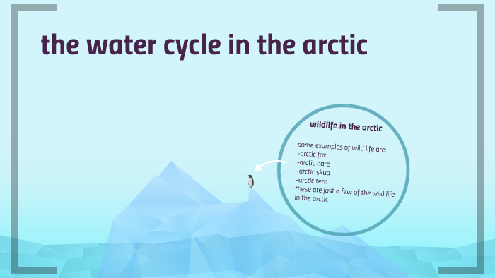 the water cycle in the arctic by andrew bettencourt on Prezi