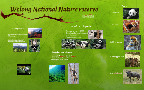 Wolong National Nature reserve by Anita Straume