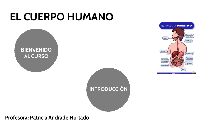 EL CUERPO HUMANO by PATRICIA Andrade Hurtado on Prezi