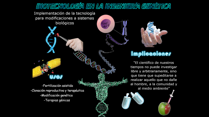 Infografia Biotecnología En La Ingeniería Genética By Cristina Gil On Prezi 6655