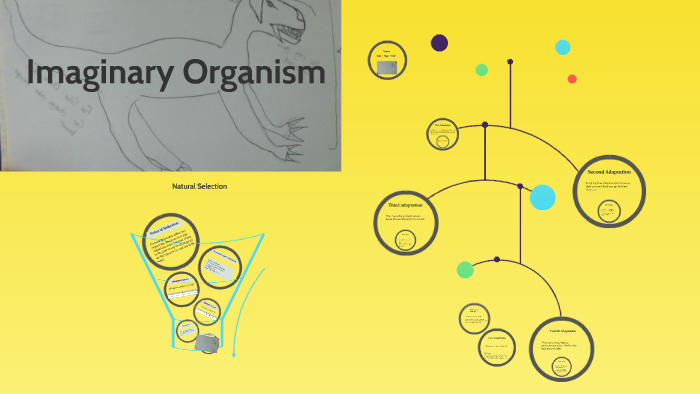 Imaginary Organism by Eric Kim on Prezi