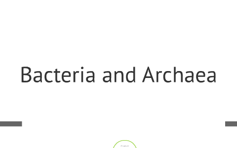 bacteria and archaea by marisol delgado on prezi archaea vs bacteria venn diagram