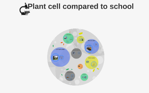 Plant cell compared to school by fritz kintanar on Prezi