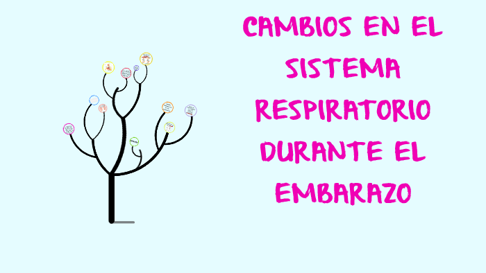 Cambios En El Sistema Respiratorio By Ashly Valverde On Prezi