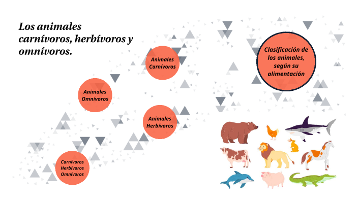 herbívoros carnívoros y omnívoros