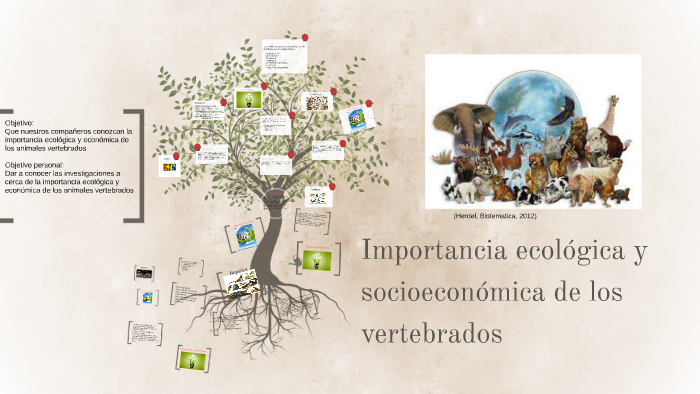 Importancia ecológica y socioeconómica de los vertebrados by Dess VG on