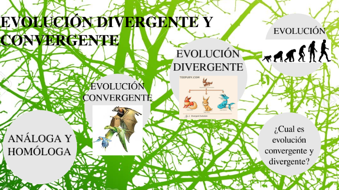 evolución divergente