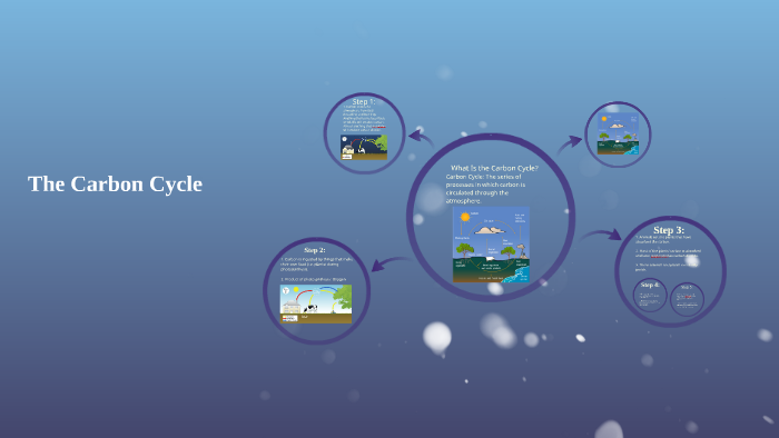 The Carbon Cycle by annie lilienthal on Prezi