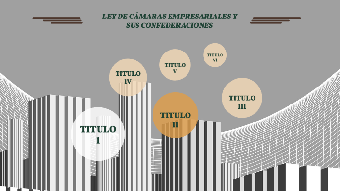 Ley De Camaras Empresariales Y Sus Confederaciones