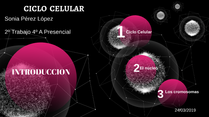 Ciclo Celular by sonia perez lopez on Prezi