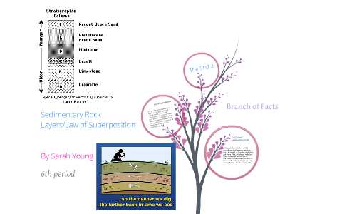 Sedimentary Rocks/ Law of Superposition by sarah young on Prezi