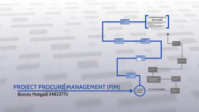 Project Integration Management By Bonolo Mokgadi 9410