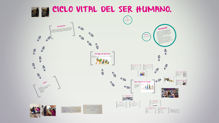 CICLO VITAL DEL SER HUMANO. by Miriam Garcia on Prezi