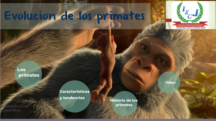 Evolucion De Los Primates By Josuat Mejia On Prezi 1568