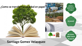 Como se transforma el arbol en papel? by SANTIAGO GOMEZ VELASQUEZ