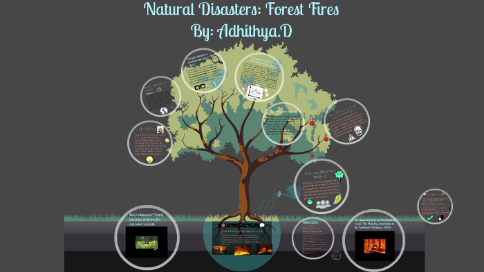 Natural Disasters: Forest Fires by adhithya dhivakar on Prezi