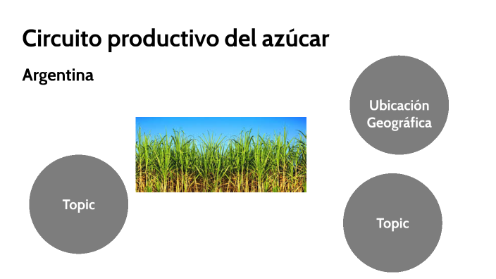 Circuito Productivo Del ázucar En Argentina By Santiago Carranza On Prezi 0435