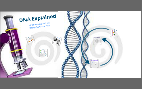 DNA Presentation by Megan Plummer on Prezi