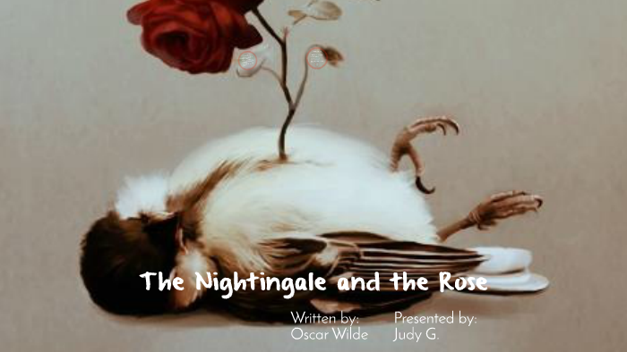 the nightingale and the rose synopsis