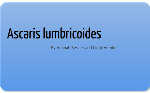 Ascaris Lumbricoides by hannah sessler