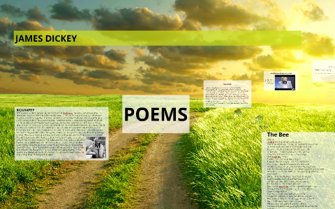 the leap james dickey poem analysis