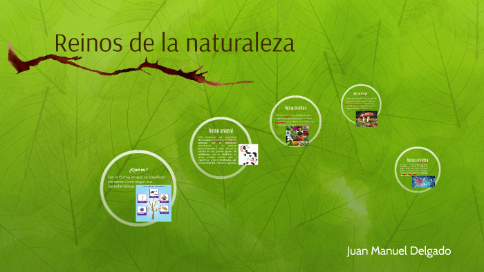 Reinos de la naturaleza by Maria Fernanda Gomez Villamizar
