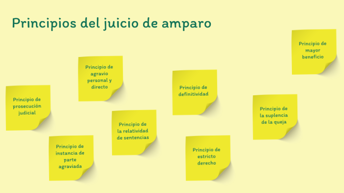 Principios Fundamentales Del Juicio De Amparo eroppa.com
