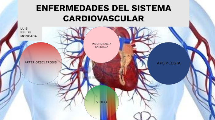 Enfermedades Del Sistema Cardiovascular By Felipe Moncada On Prezi