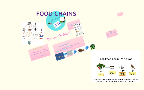 Food Chain Meg food chains by Megan Kothera on Prezi