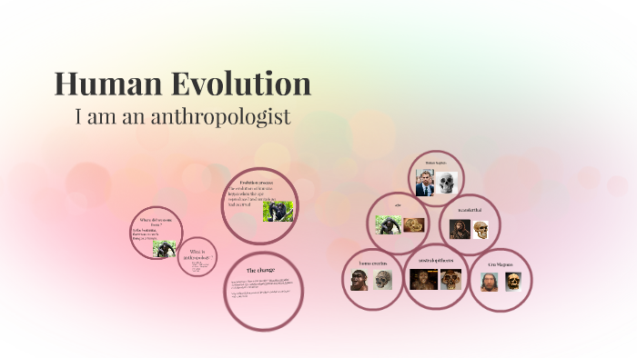 Human Evolution by Alexis G on Prezi