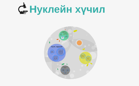 НУКЛЕЙН ХҮЧЛИЙН БҮТЭЦ by Энэрэл З. on Prezi