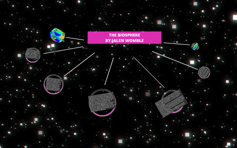 The Biosphere Is The Global Sum Of All Ecosystems It Can Al By