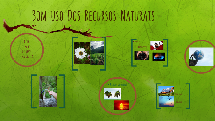 Bom Uso Dos Recursos Naturais By Amanda Silva On Prezi