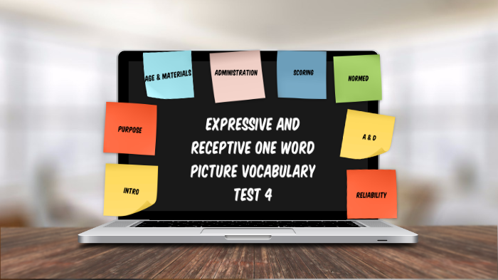 the-receptive-and-expressive-one-word-vocabulary-test-fourth-edition-by