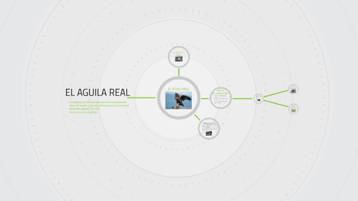 EL ÁGUILA REAL by Alberto Monge Diaz on Prezi Next