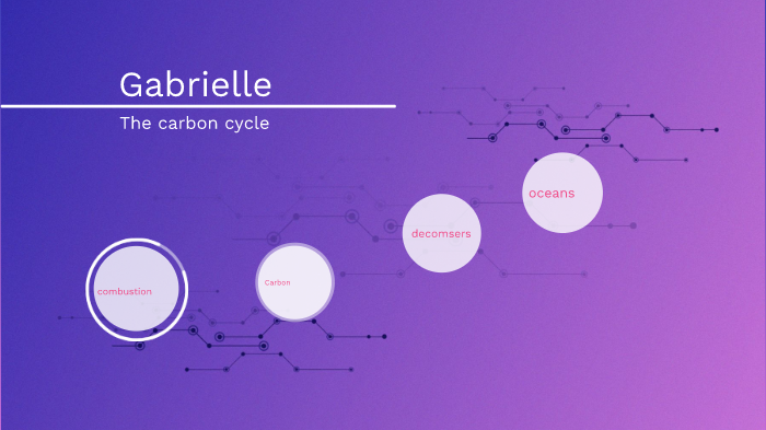 The Carbon Cycle by Gabrielle McNutt on Prezi