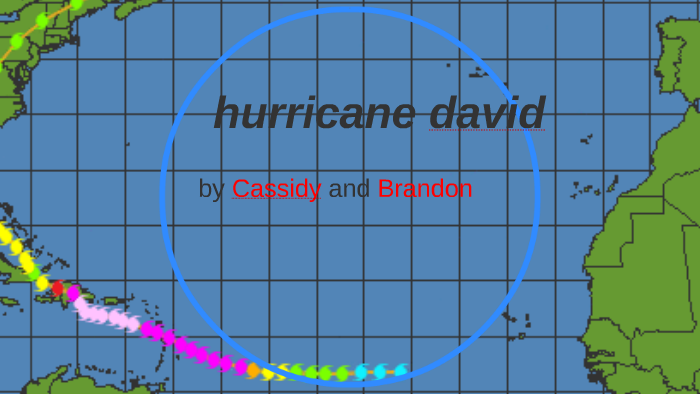 hurricane david by brandon winters