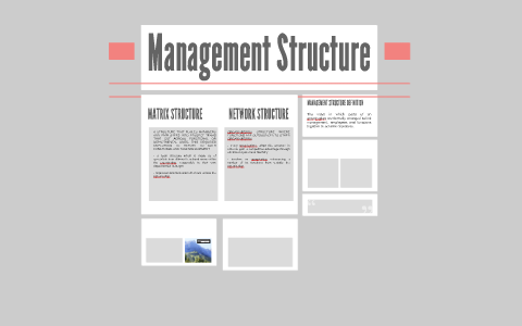 Management Structure by