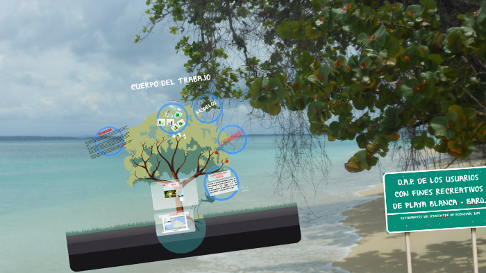 playa vr supported sites