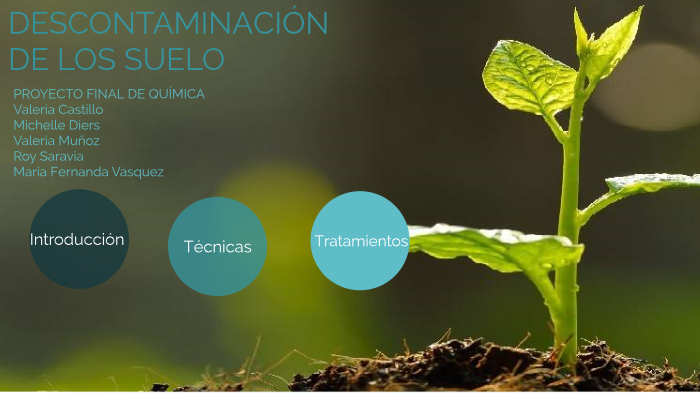 Descontaminación del suelo by Valeria Muñoz Rojas on Prezi Next