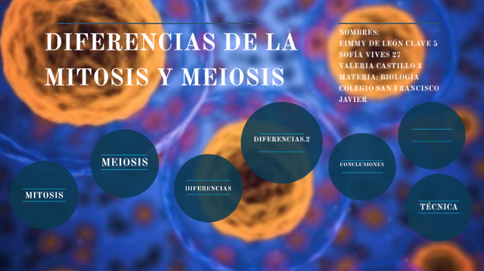 DIFERENCIAS ENTRE MITOSIS Y MEIOSIS by Valeria Castillo on Prezi