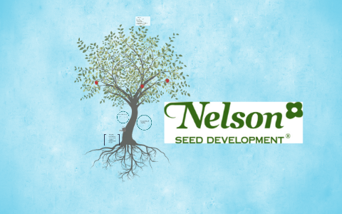 Nelson Seed Development by Joakim Ahlmén on Prezi