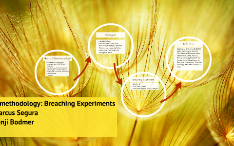 breaching experiments in ethnomethodology