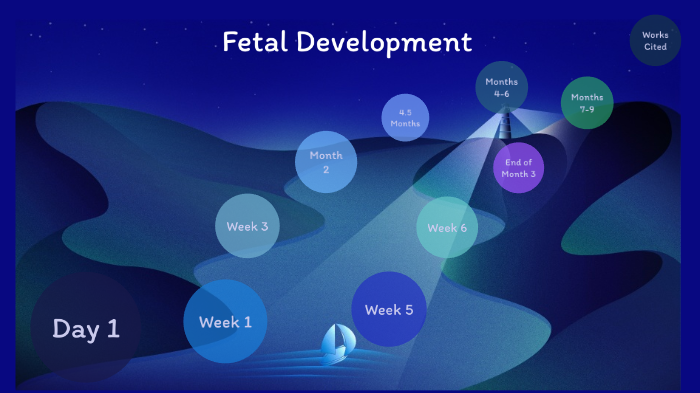 Pregnancy Timeline by Lindy Benton on Prezi
